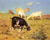 Goats Grazing On A Hillside - 贝尼托·雷沃列多·科雷亚